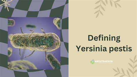  Yersinia pestis! Unveiling the Parasite That Thrives Within the Shadow of its Host